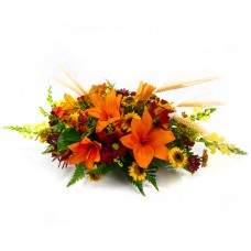 Fall Splendor
